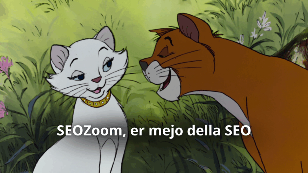 SEOZoom, er mejo della SEO